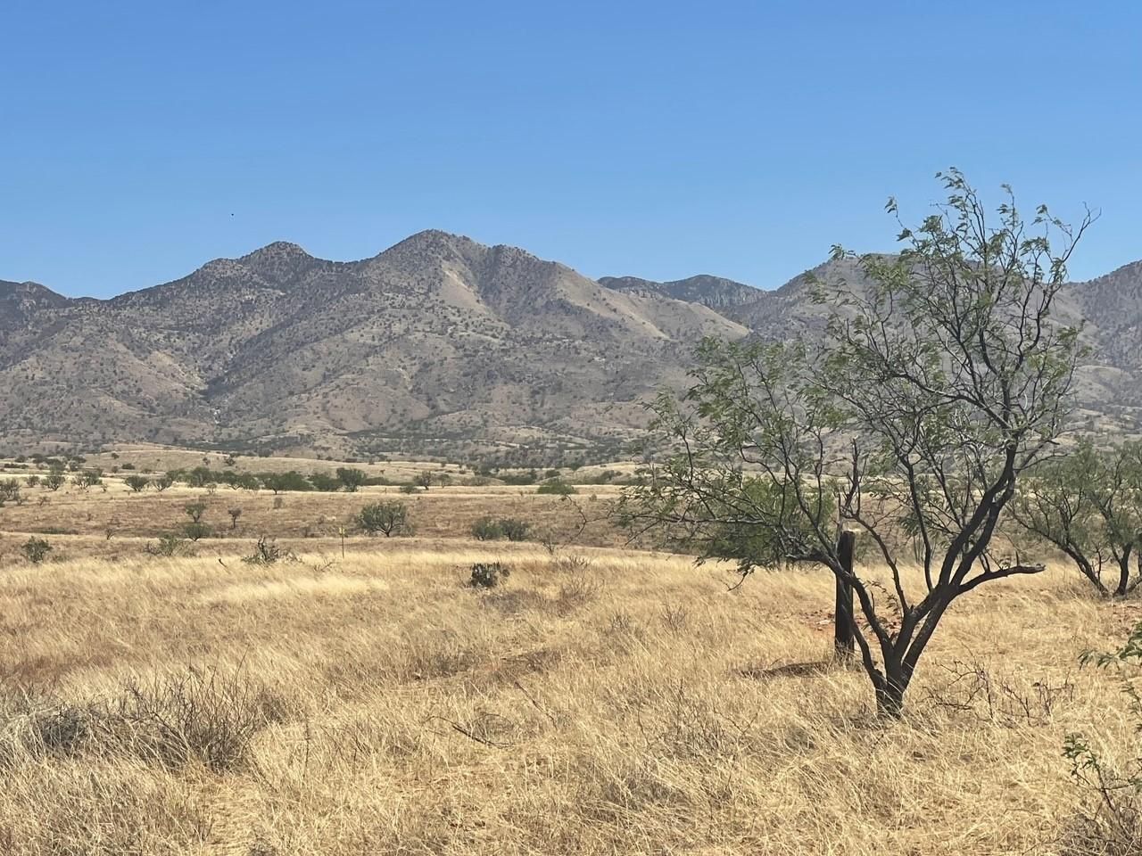 36.13 acres in Patagonia, AZ, 85624 MLS 22215330 LandWatch