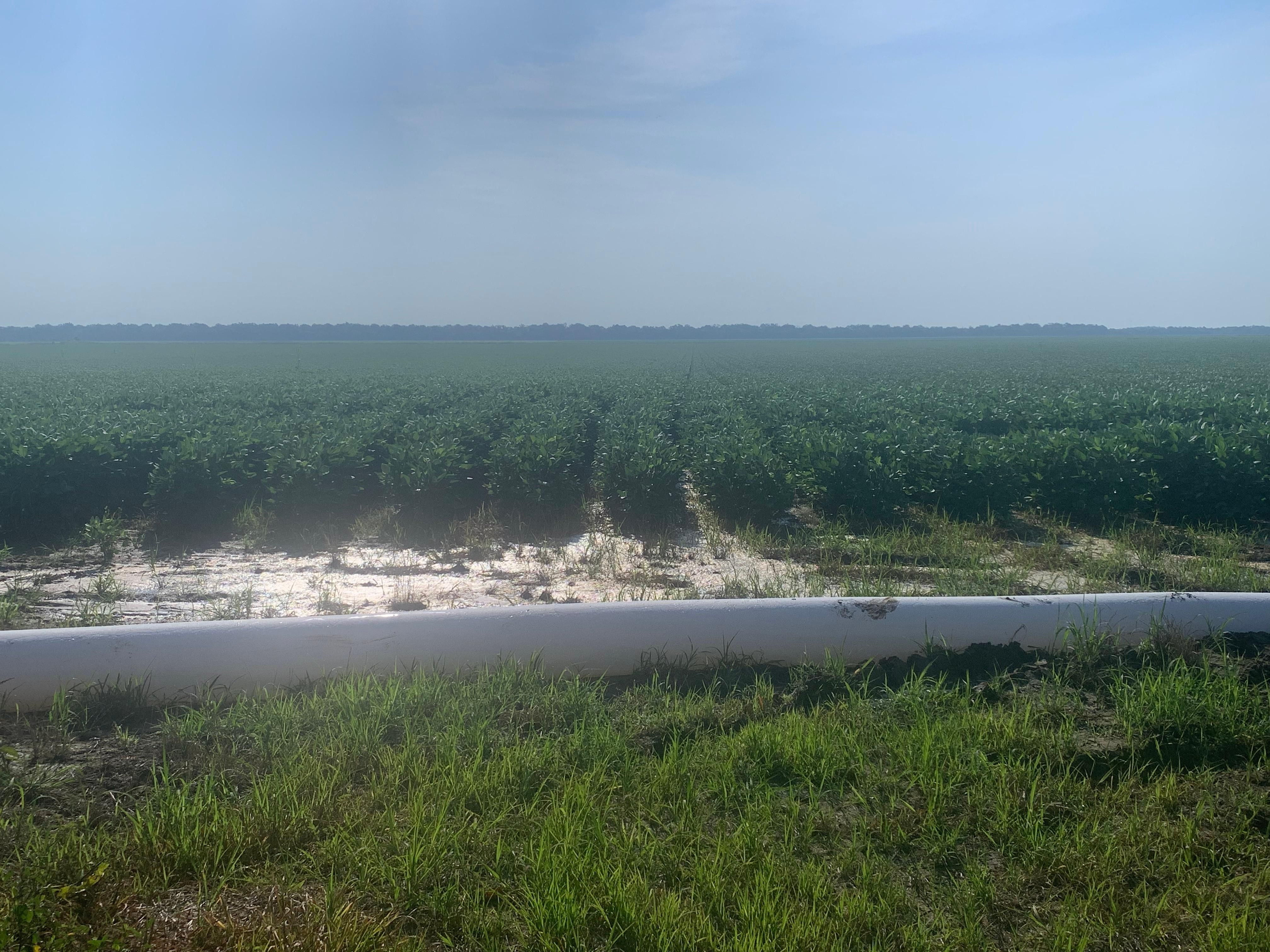 361433 Quebec Rd Tallulah, Tallulah, LA 71282 LandWatch