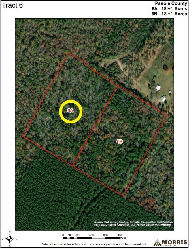 Gary, Panola County, TX Recreational Property, Timberland Property