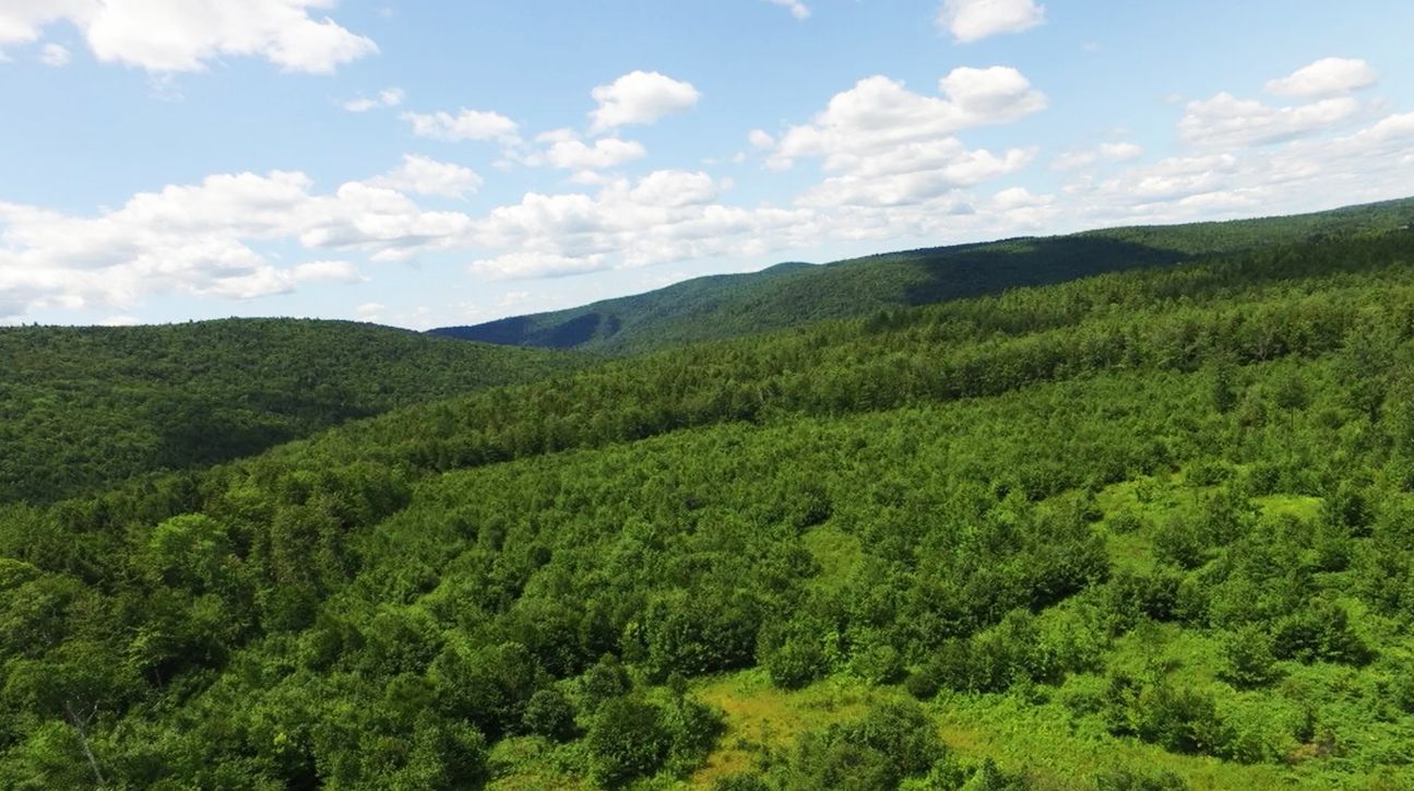 Newfane Hill Road VT839, Newfane, VT 05345 LandWatch