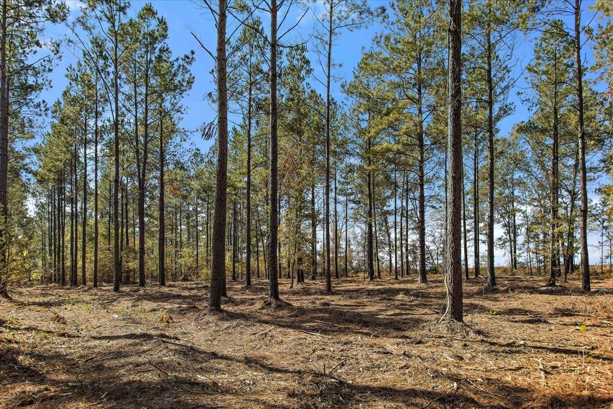 Rusk, Cherokee County, TX Recreational Property, Hunting Property for