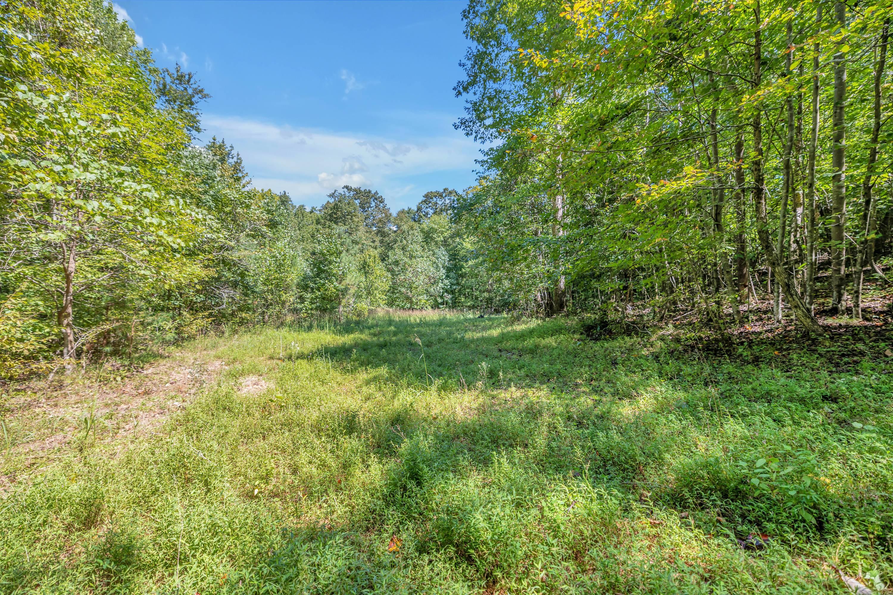 Big Sandy, Benton County, TN Recreational Property, Undeveloped Land