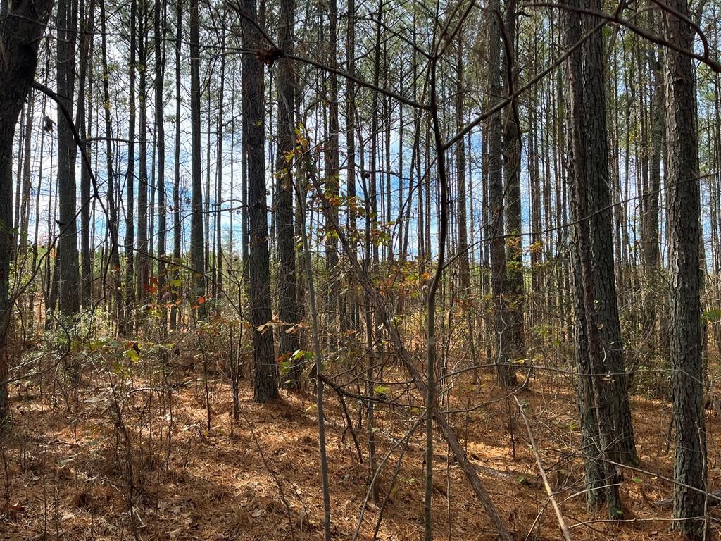 Hollister, Warren County, NC Homesites for sale Property ID 411757683
