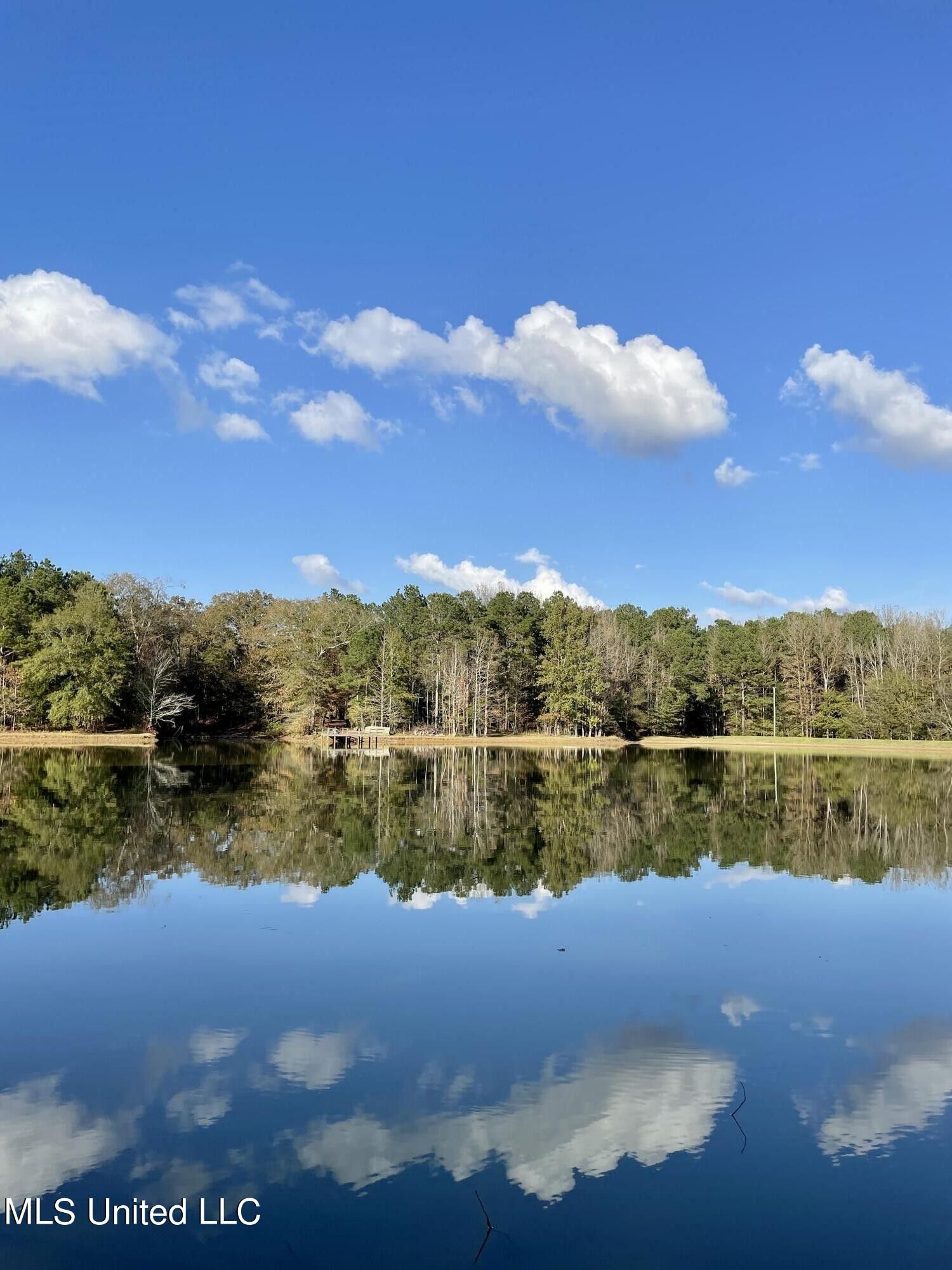 Pickens, Holmes County, MS Undeveloped Land, Lakefront Property, Waterfront Property for sale