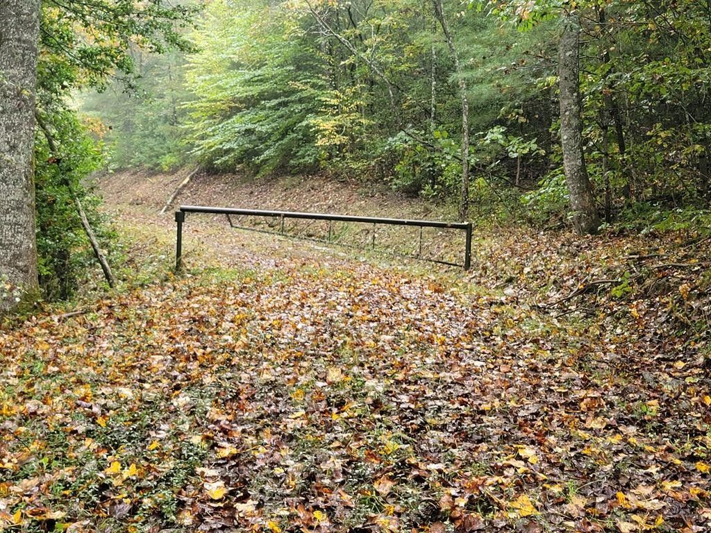 Franklin, Macon County, NC Undeveloped Land for sale Property ID