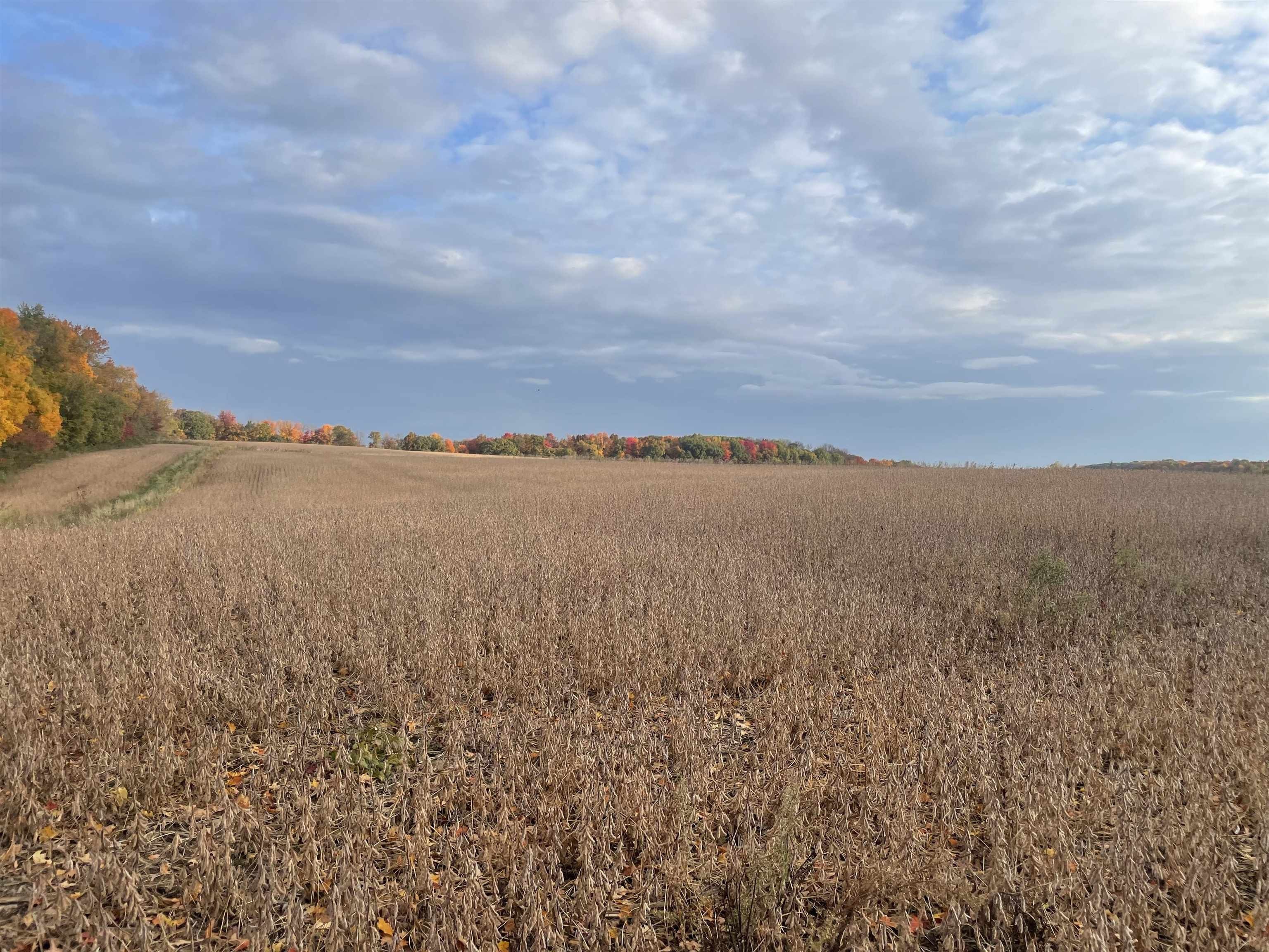 Hillpoint, Sauk County, WI Undeveloped Land for sale Property ID