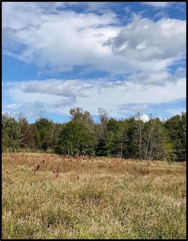 Louisville, Winston County, MS Recreational Property, Undeveloped Land