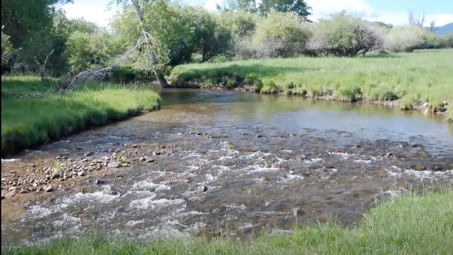 20 acres in Pony, MT, 59747 LandWatch