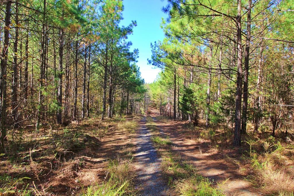 Concord, Campbell County, VA Undeveloped Land for sale Property ID