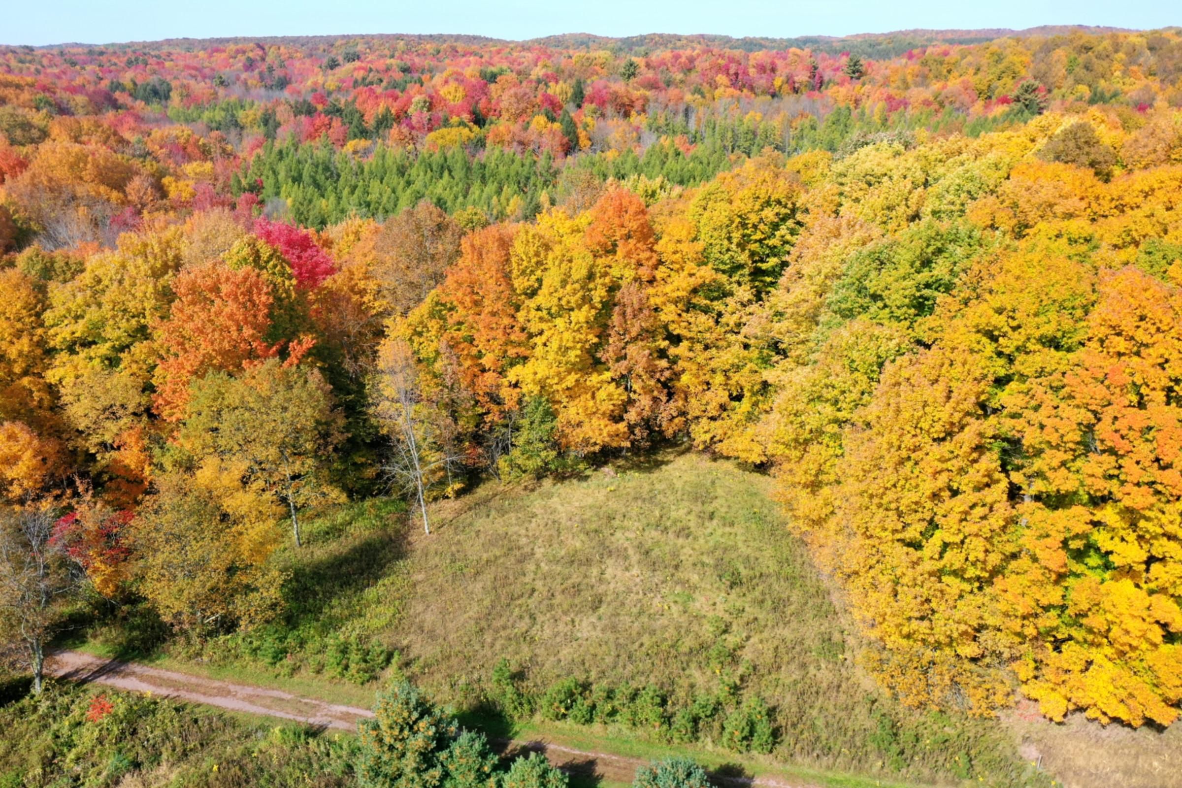 Withee, Taylor County, WI Recreational Property, Hunting Property for