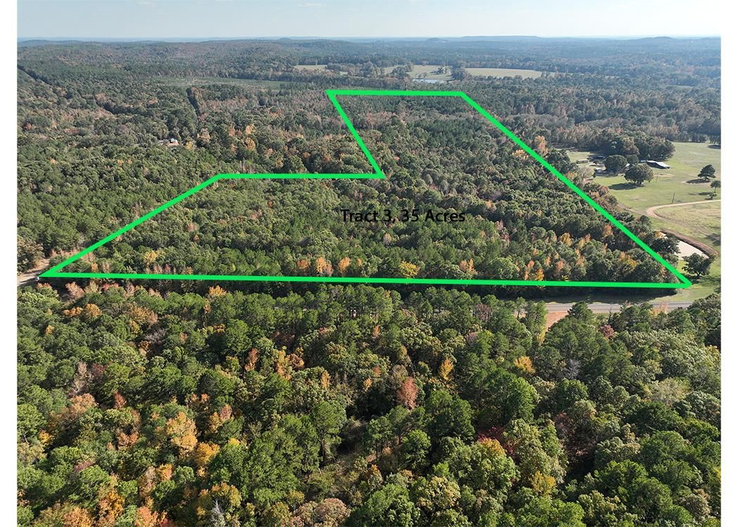 Pittsburg, Upshur County, TX Timberland Property, Undeveloped Land for