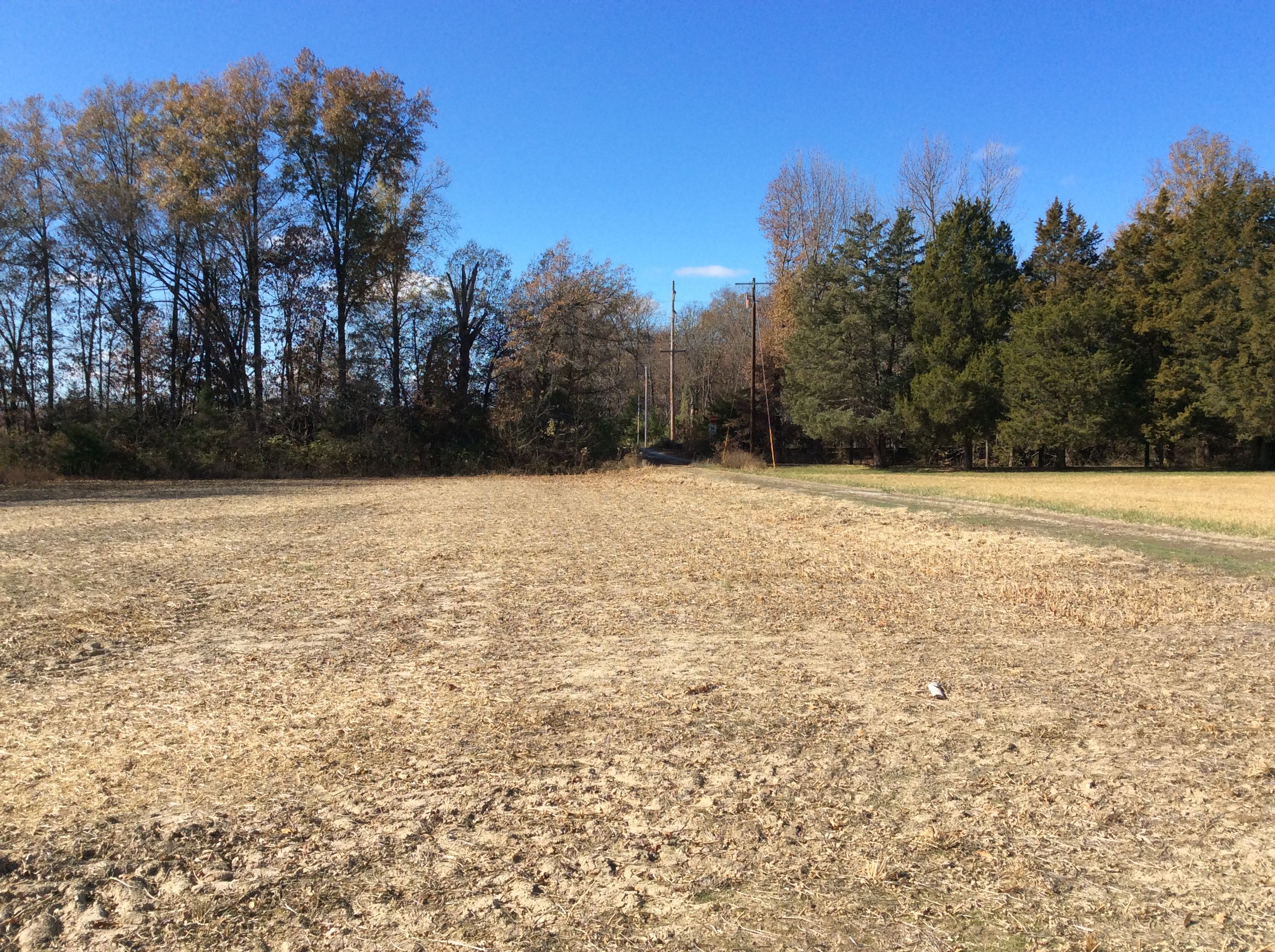 Bakerville, Jefferson County, IL Undeveloped Land for sale Property ID