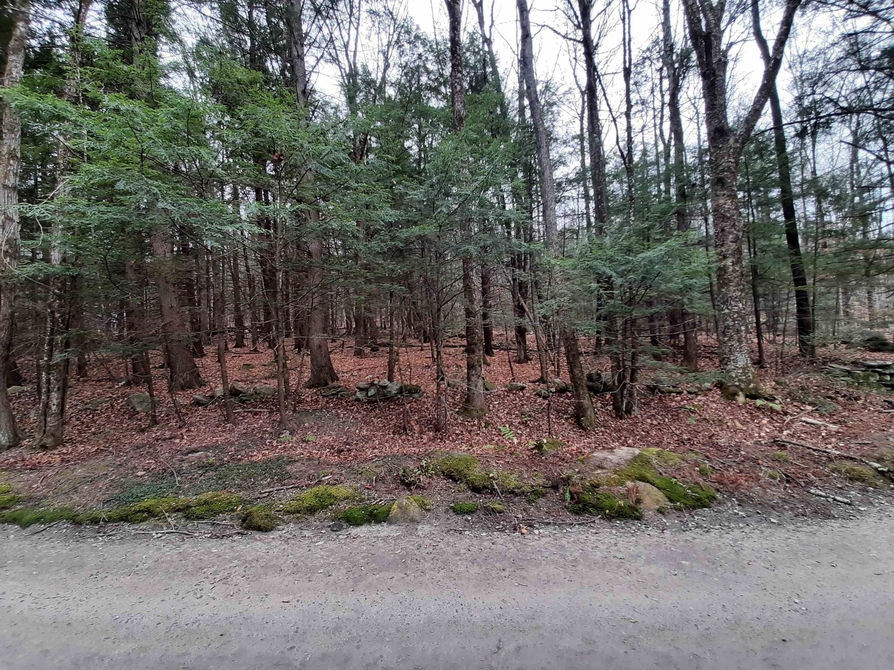 Chester, Windsor County, VT Undeveloped Land for sale Property ID