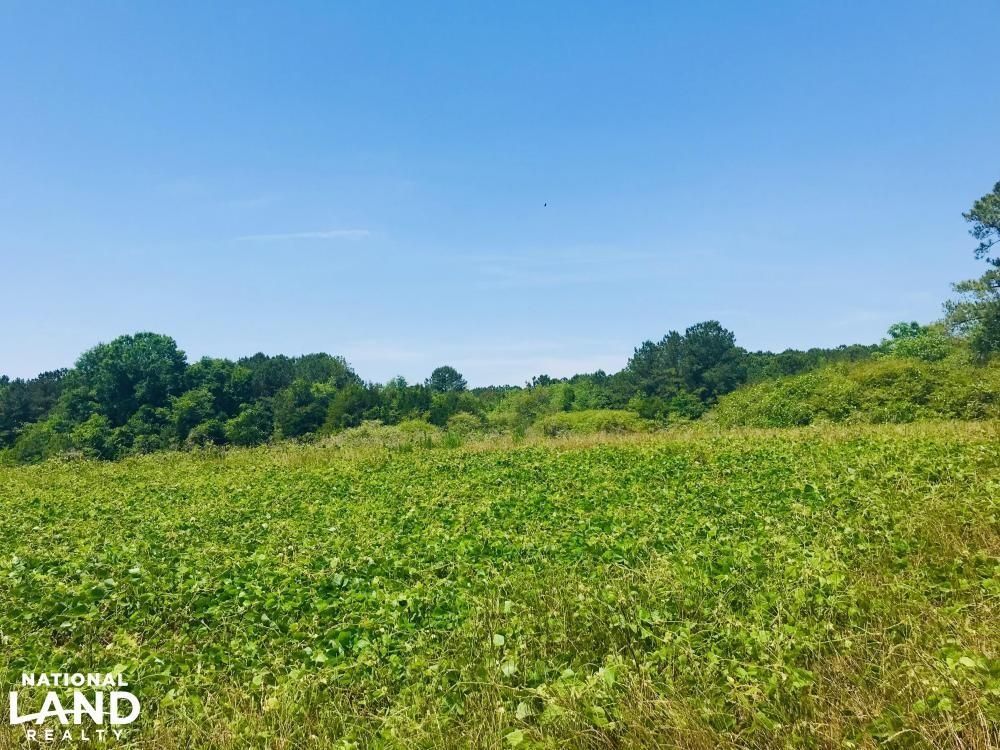 Ellaville, Schley County, GA Recreational Property, Undeveloped Land