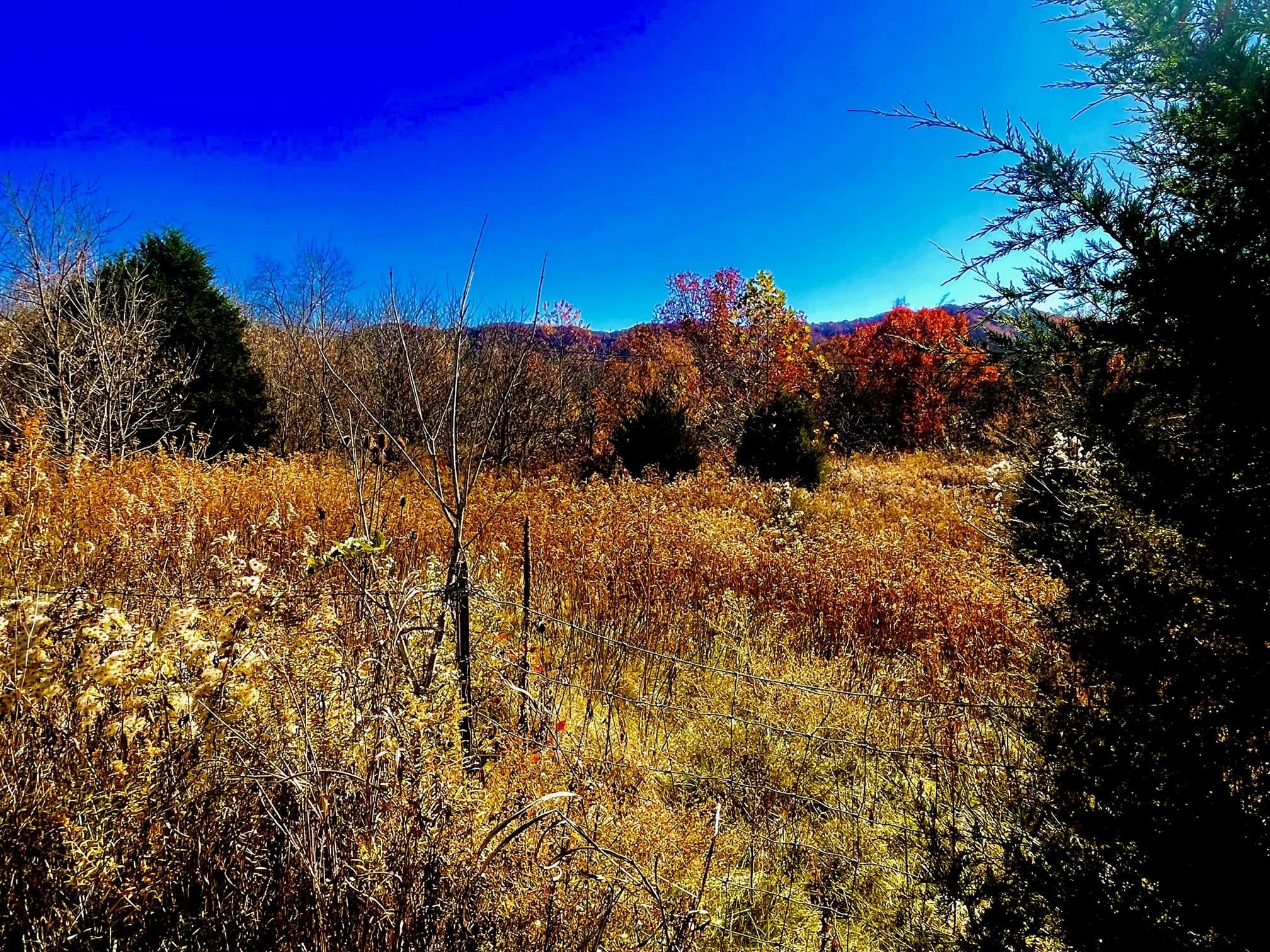 000 Big Moccasin, Nickelsville, VA 24271 LandWatch