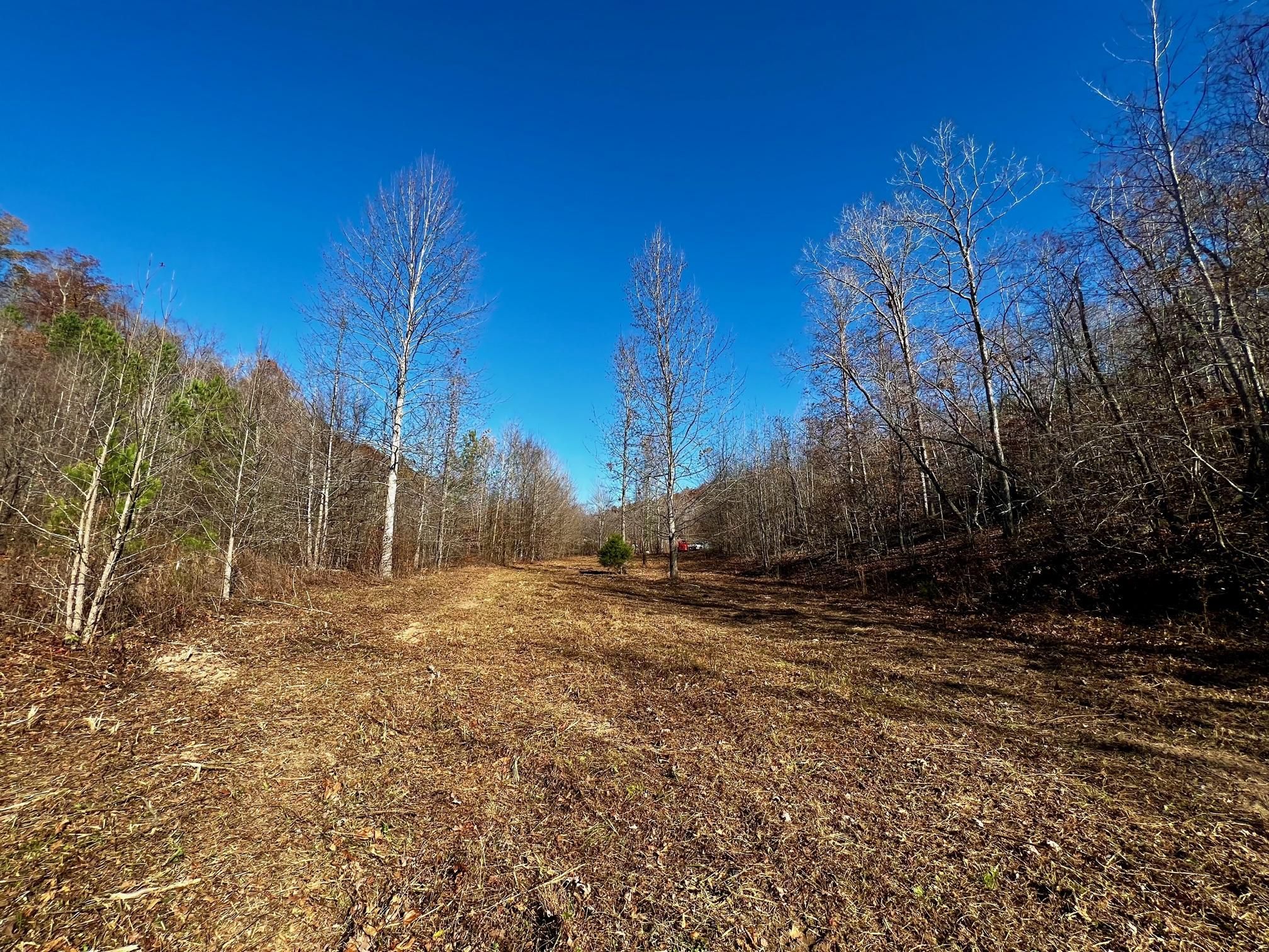 Crooked Creek Road, Lobelville, TN 37097 LandWatch