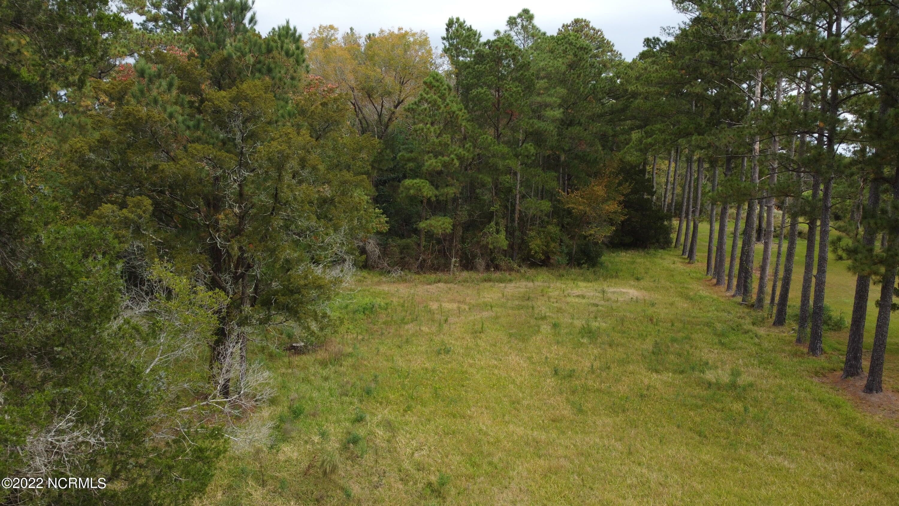 Hobucken, Pamlico County, NC Undeveloped Land for sale Property ID 415296996 LandWatch