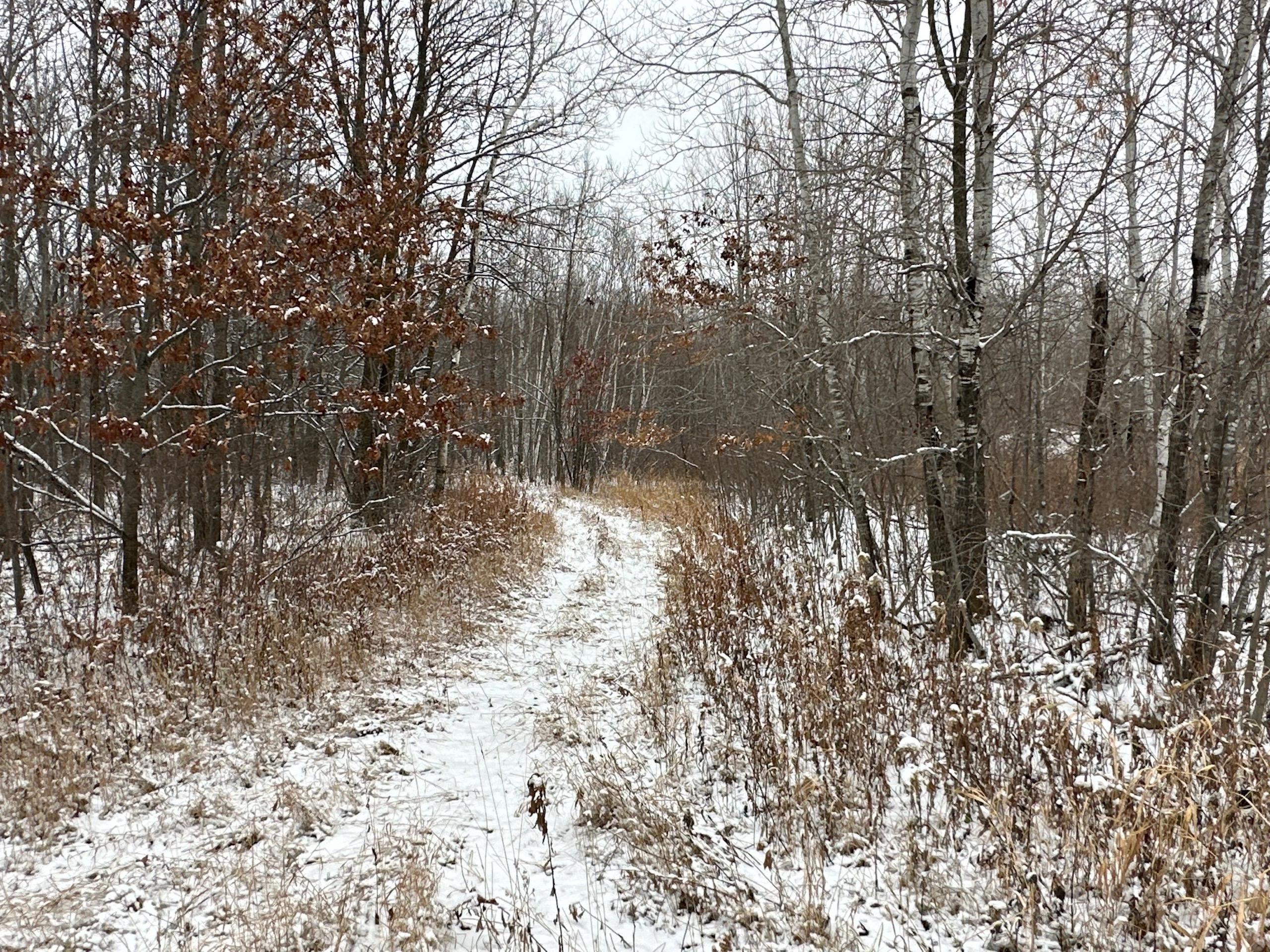 Pierz, Morrison County, MN Recreational Property, Hunting Property for