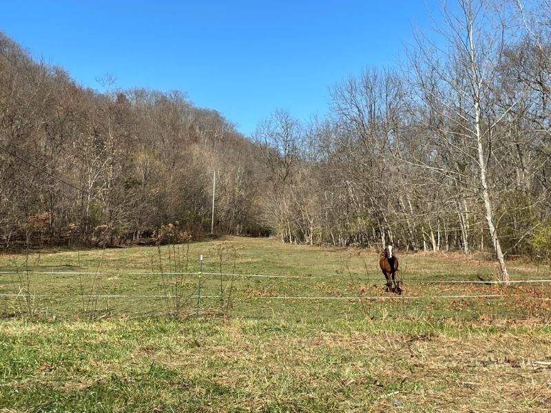 Aberdeen, Brown County, OH Farms and Ranches for sale Property ID