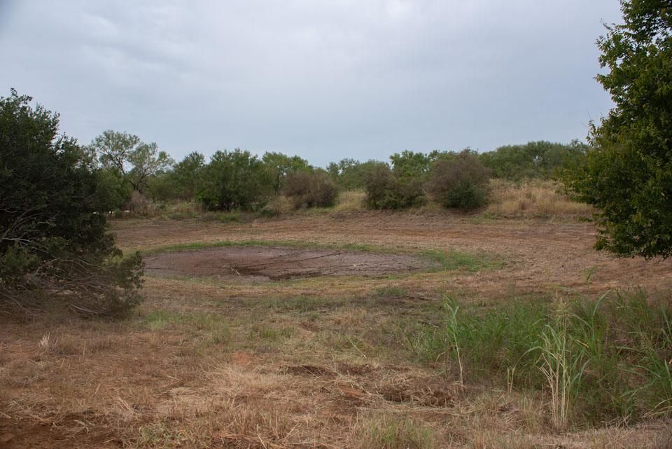 Charlotte, Atascosa County, TX Farms and Ranches, Recreational Property