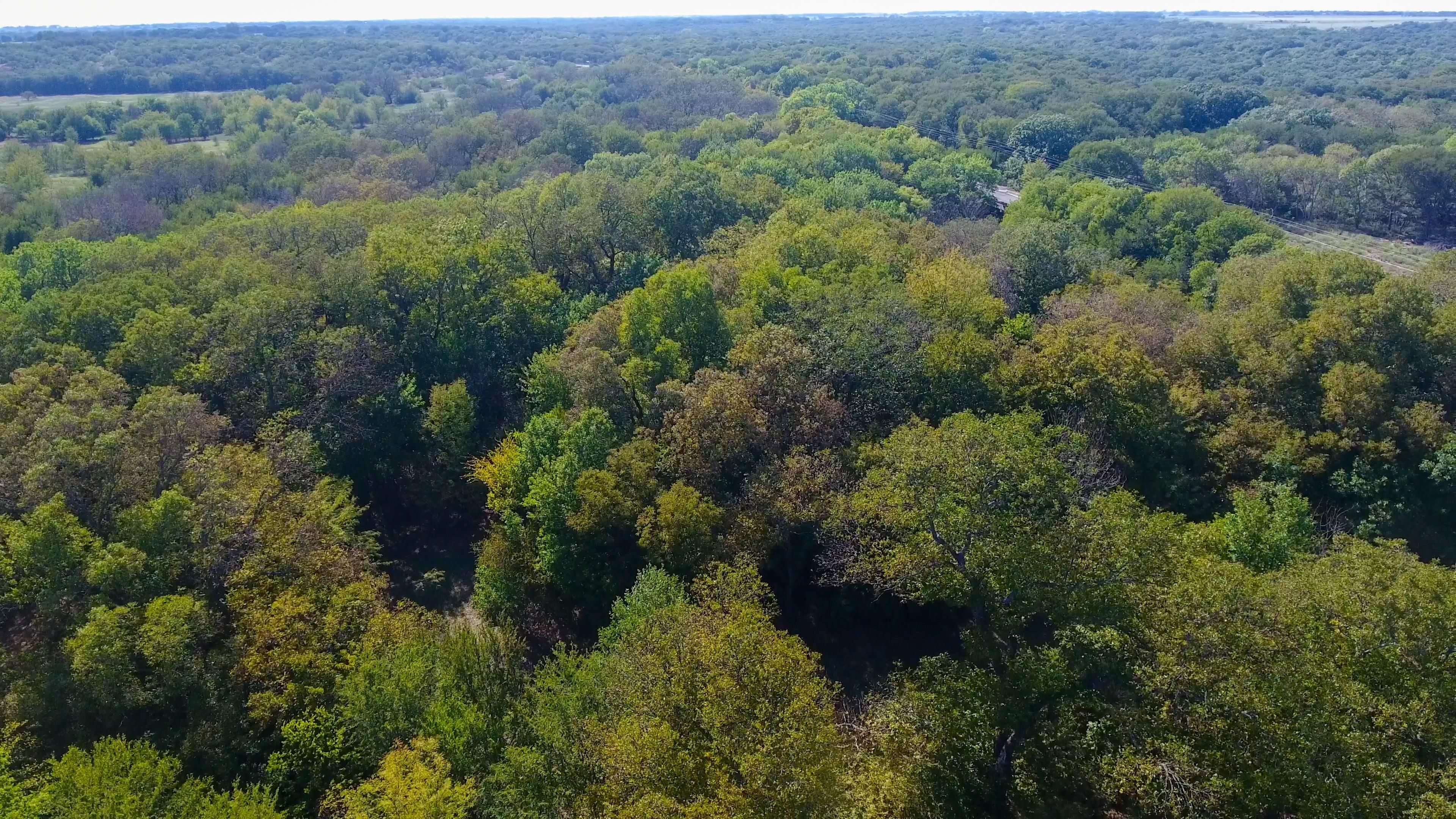 FM 8, Desdemona, TX 76445 MLS 20208150 LandWatch