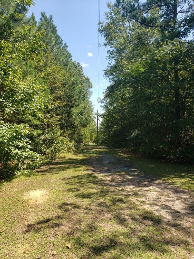 1010 Hwy 87 S, Newton, TX 75966 MLS 206318 LandWatch