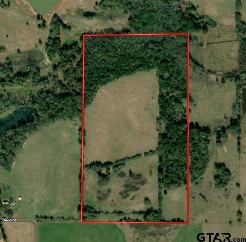 Troup, Smith County, TX Undeveloped Land for sale Property ID
