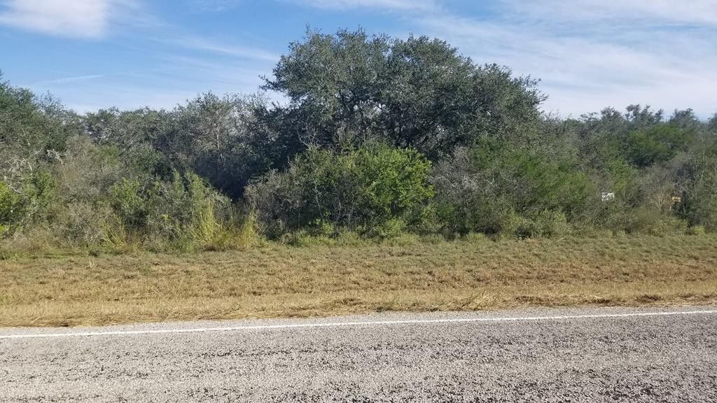 Beeville, Bee County, TX Farms and Ranches for sale Property ID