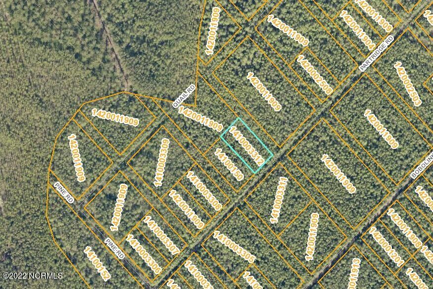 Boiling Spring Lakes, Brunswick County, NC Undeveloped Land, Homesites