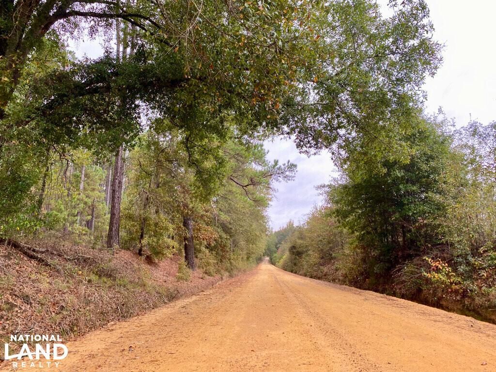 Cochran, Dodge County, GA Recreational Property, Timberland Property