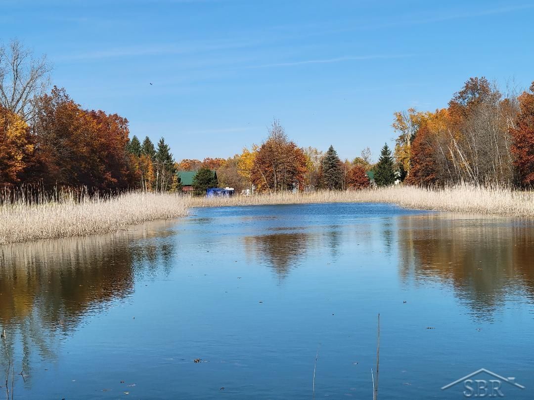 Saint Charles, Saginaw County, MI Undeveloped Land for sale Property ID