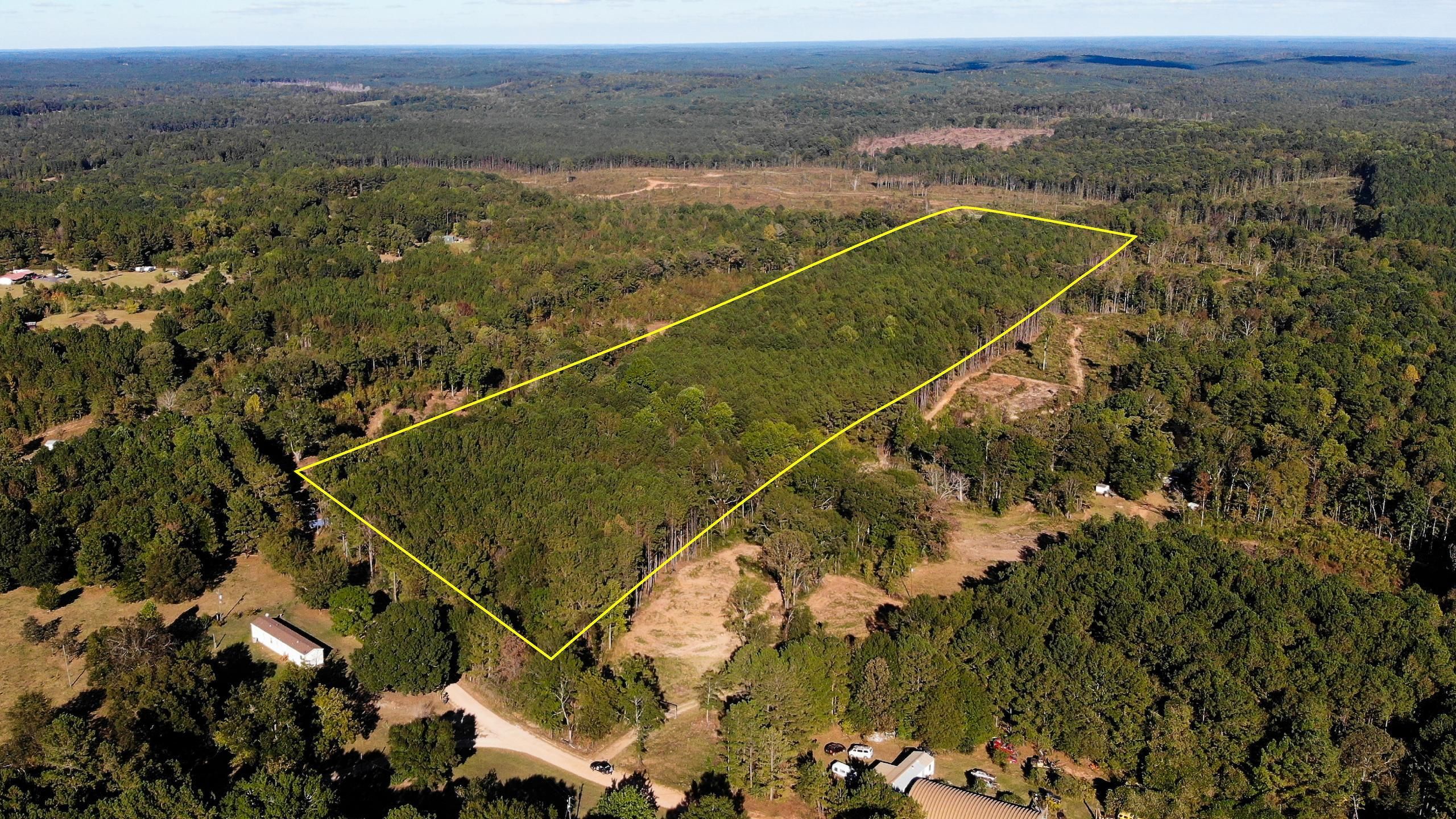 Five Points, Chambers County, AL Recreational Property, Timberland Property, Hunting Property