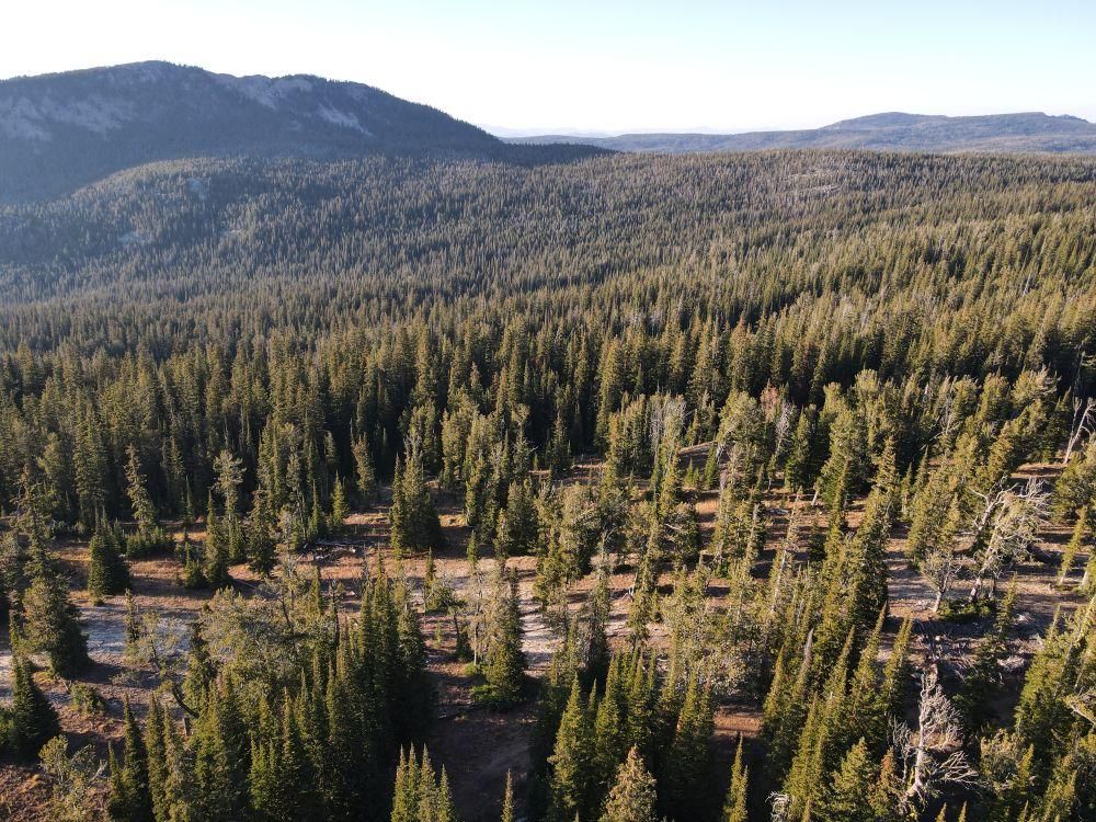 Anaconda, Granite County, MT Recreational Property, Undeveloped Land, Hunting Property