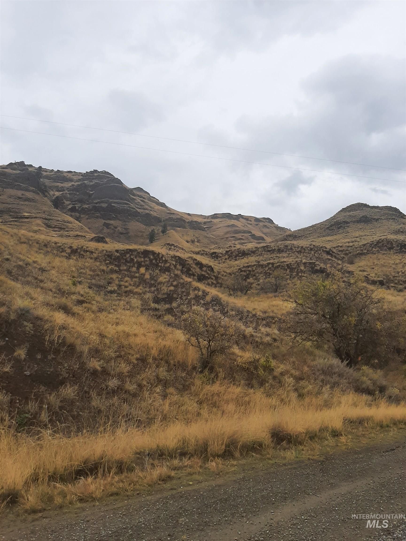 White Bird, Idaho County, ID Undeveloped Land for sale Property ID