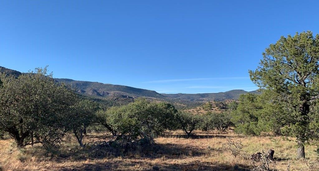 Fort Davis, Jeff Davis County, TX Undeveloped Land for sale Property ID