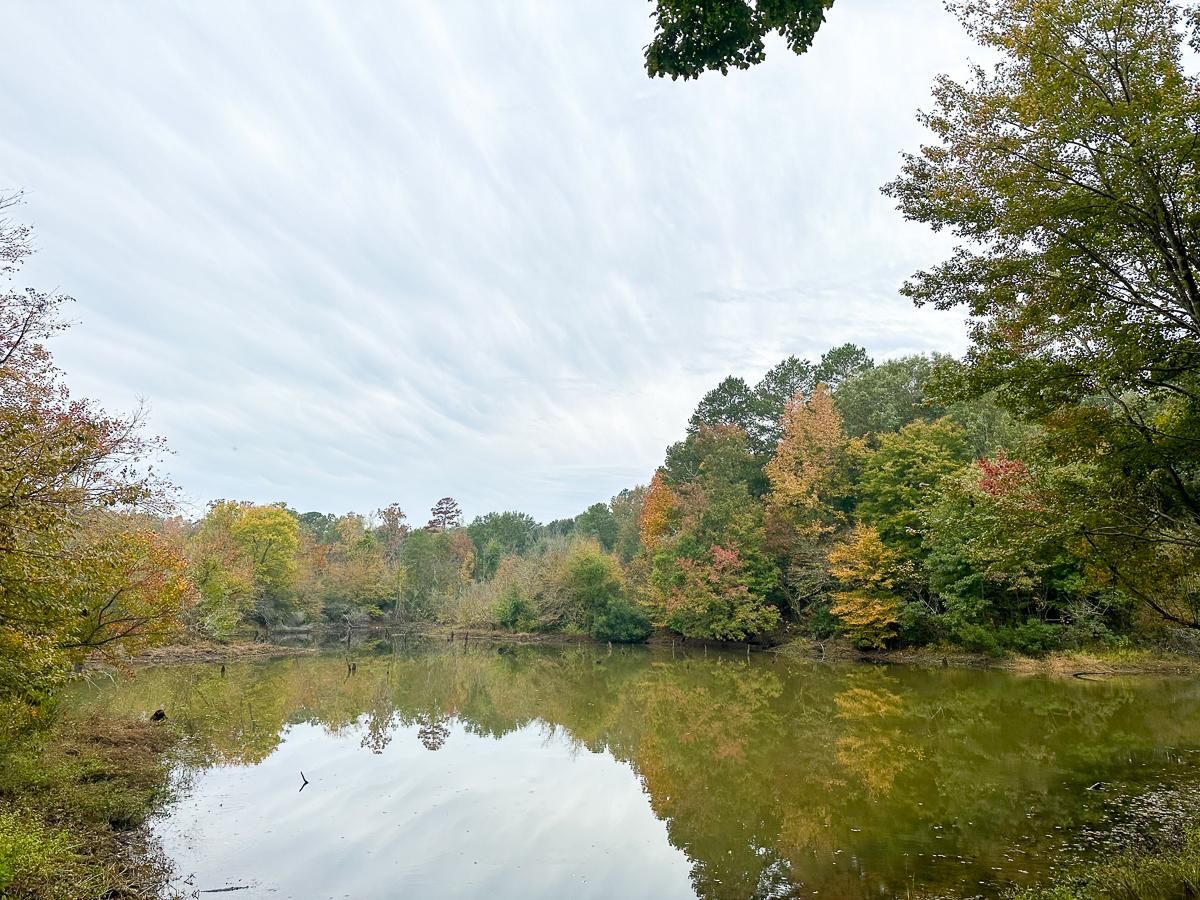 Timpson, Shelby County, TX Recreational Property, Hunting Property