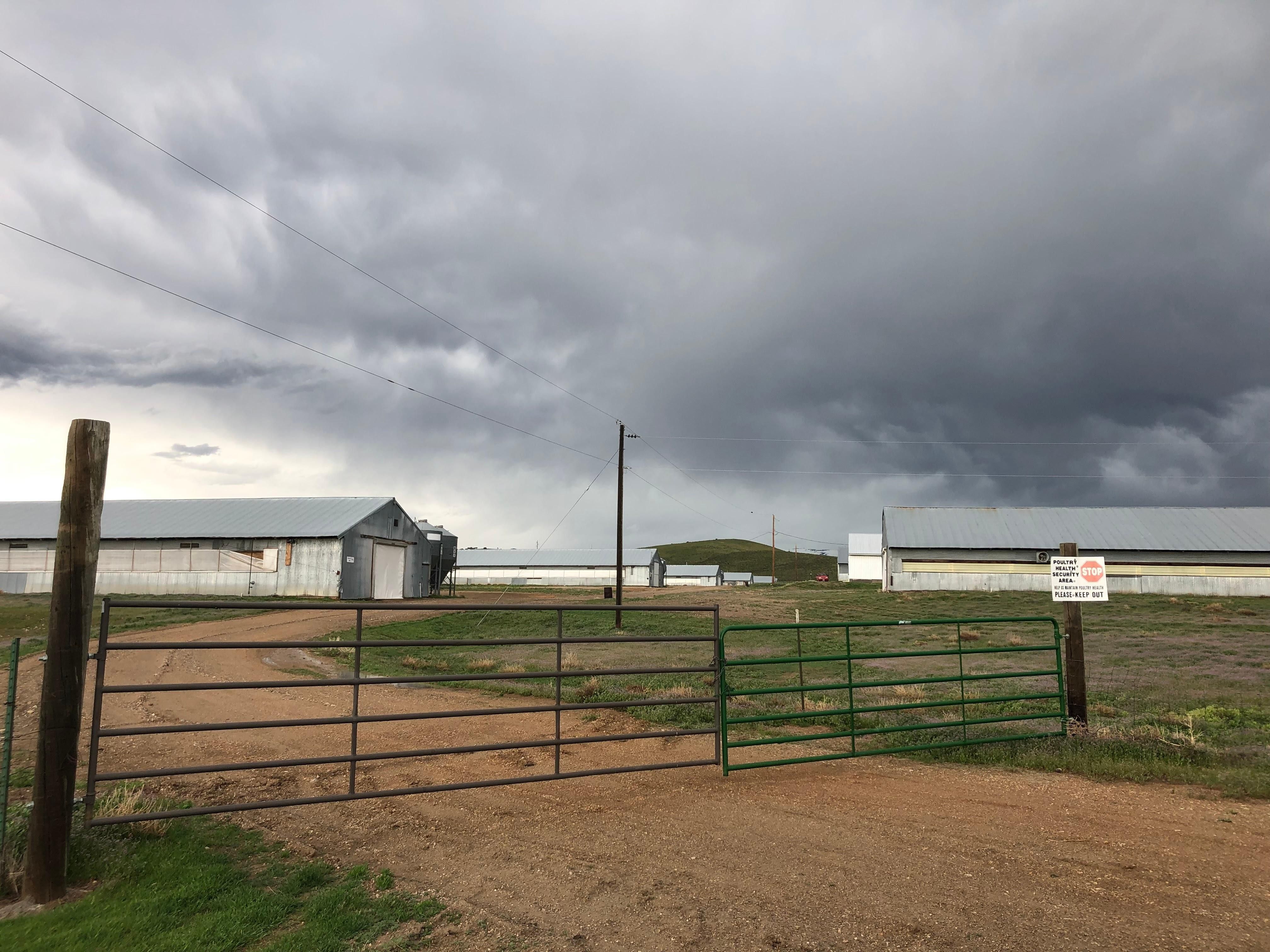 Moroni, Sanpete County, UT Farms and Ranches, Horse Property, House for