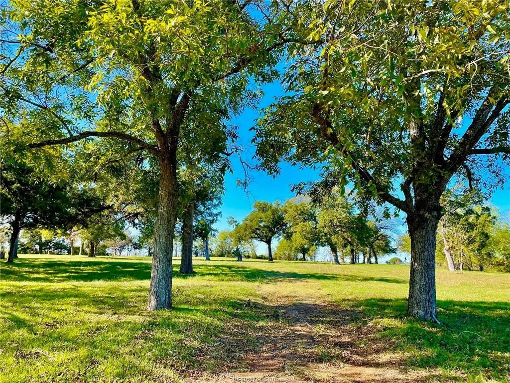 Normangee, Leon County, TX Undeveloped Land, Homesites for sale