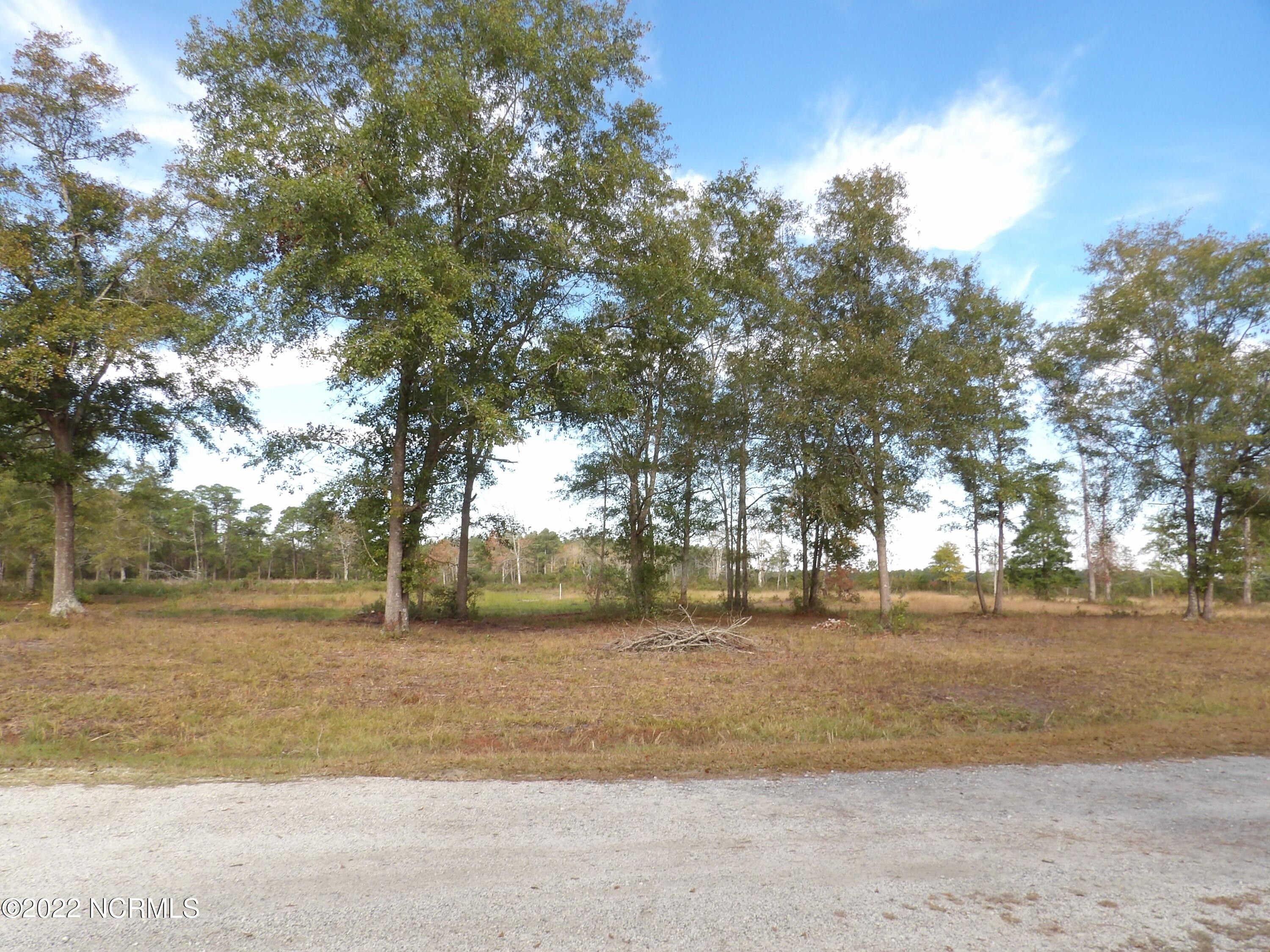 Burgaw, Pender County, NC Undeveloped Land, Homesites for sale Property