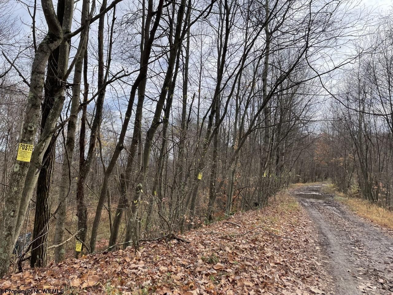 Kingwood, Preston County, WV Undeveloped Land for sale Property ID