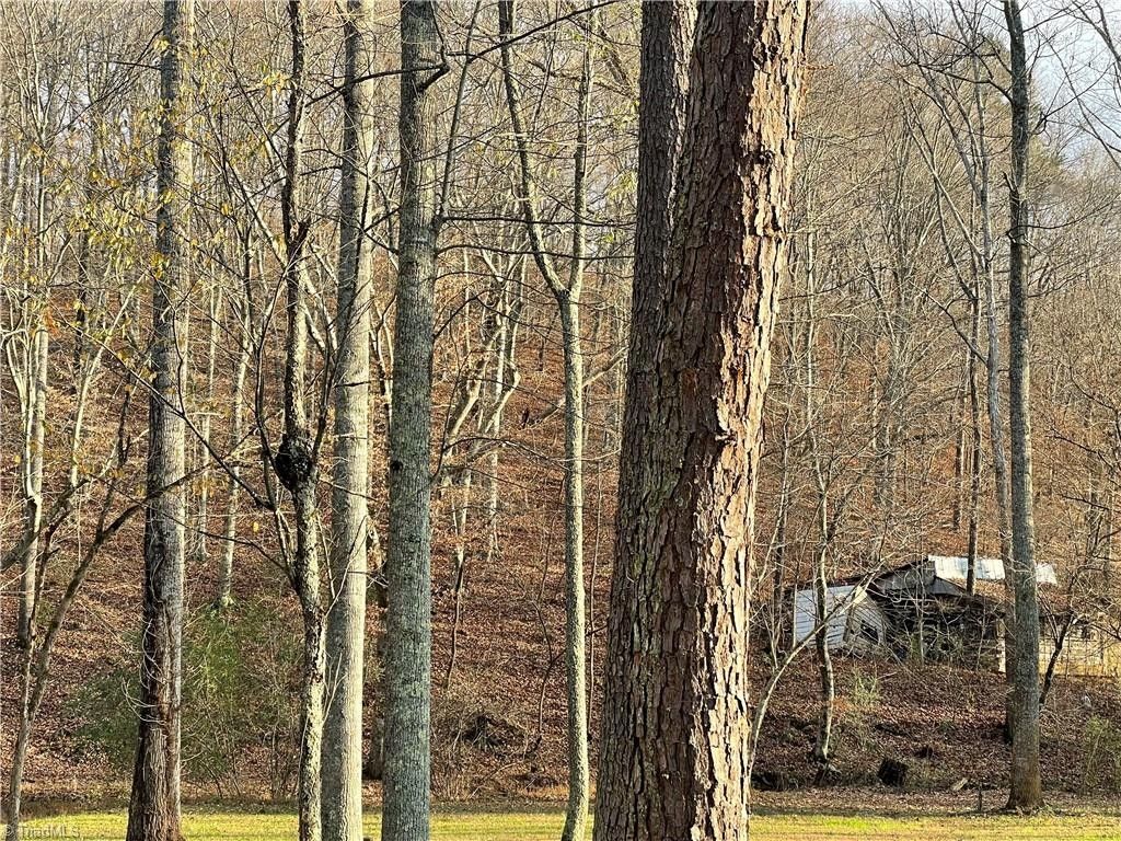 Tobaccoville, Forsyth County, NC House for sale Property ID 415310983