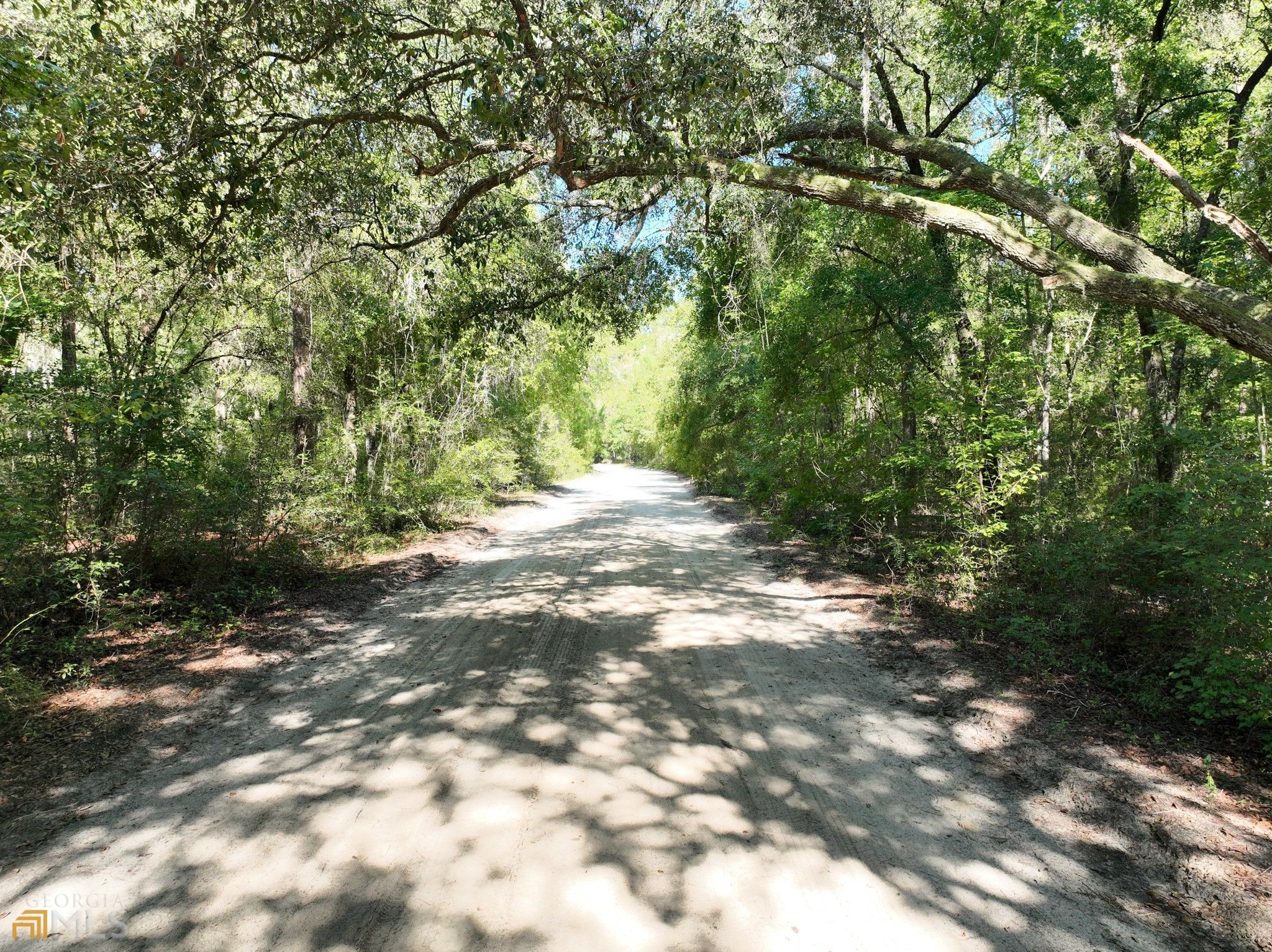 0 Dogwood Circle, Nahunta, GA 31553 MLS 10106415 LandWatch