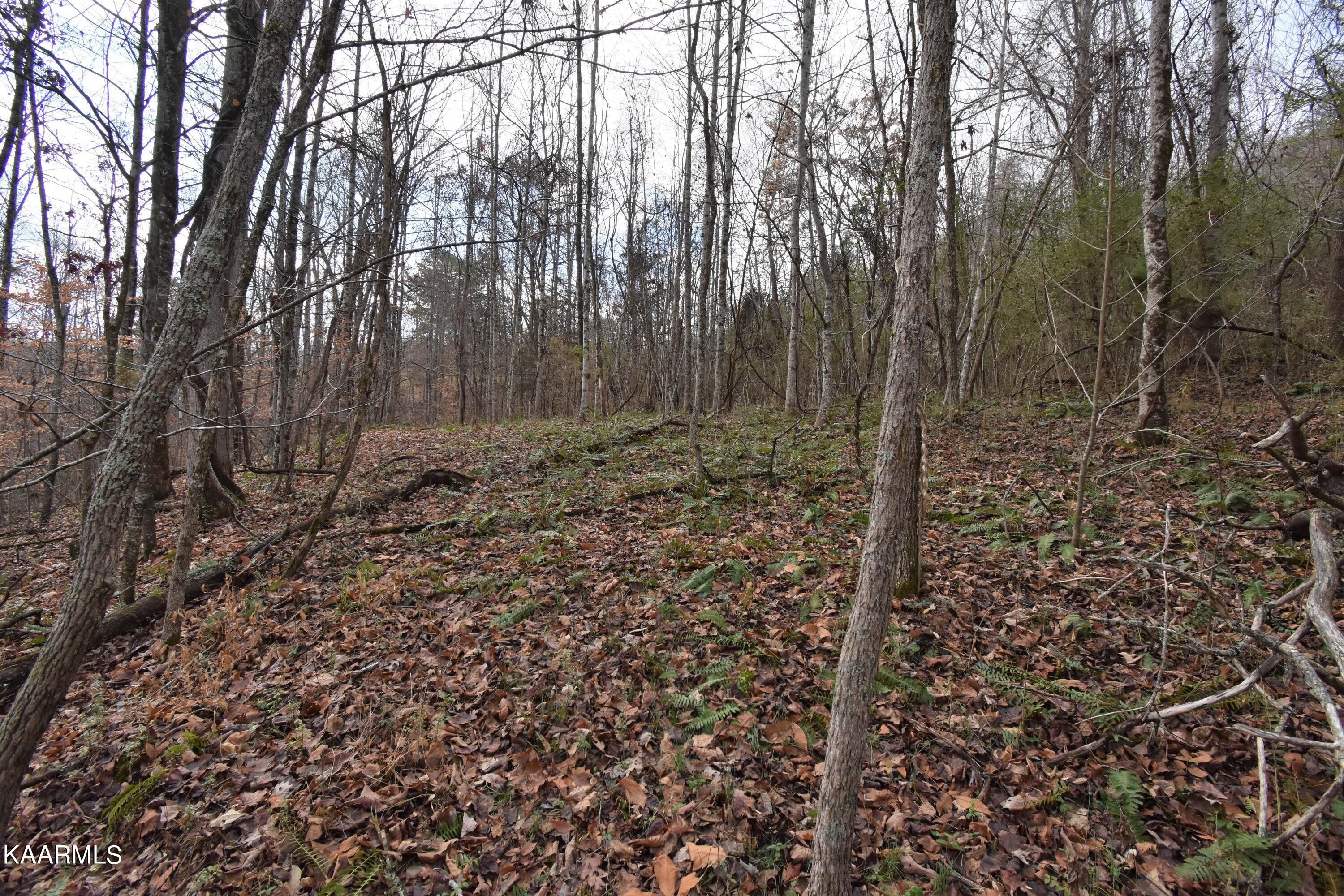 Sneedville, Hancock County, TN Undeveloped Land for sale Property ID