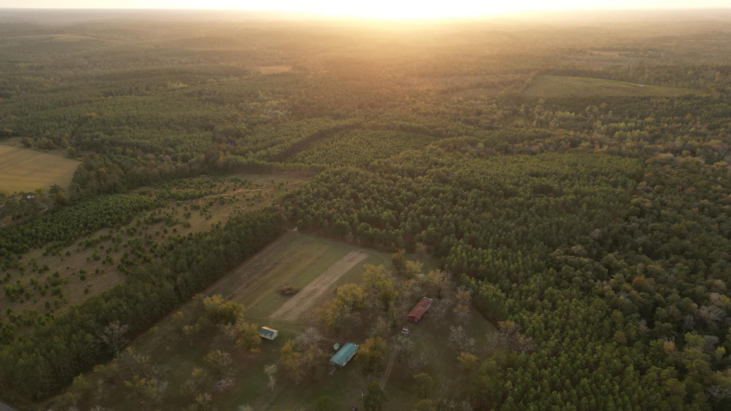 Chattahoochee, Gadsden County, FL Recreational Property, Timberland