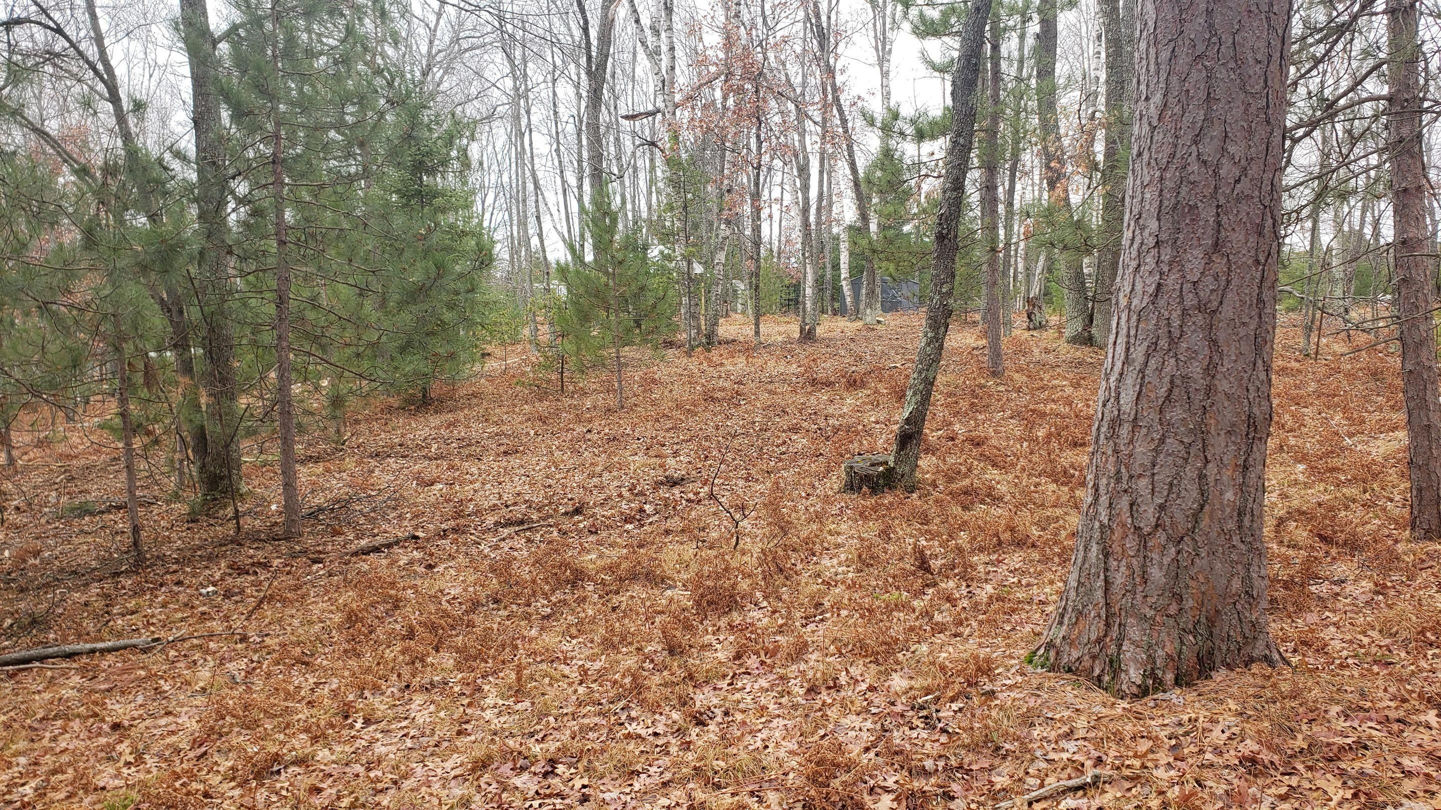 Rhinelander, Oneida County, WI Recreational Property, Timberland