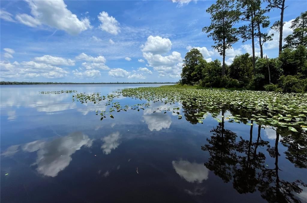 De Leon Springs, Volusia County, FL Undeveloped Land, Lakefront