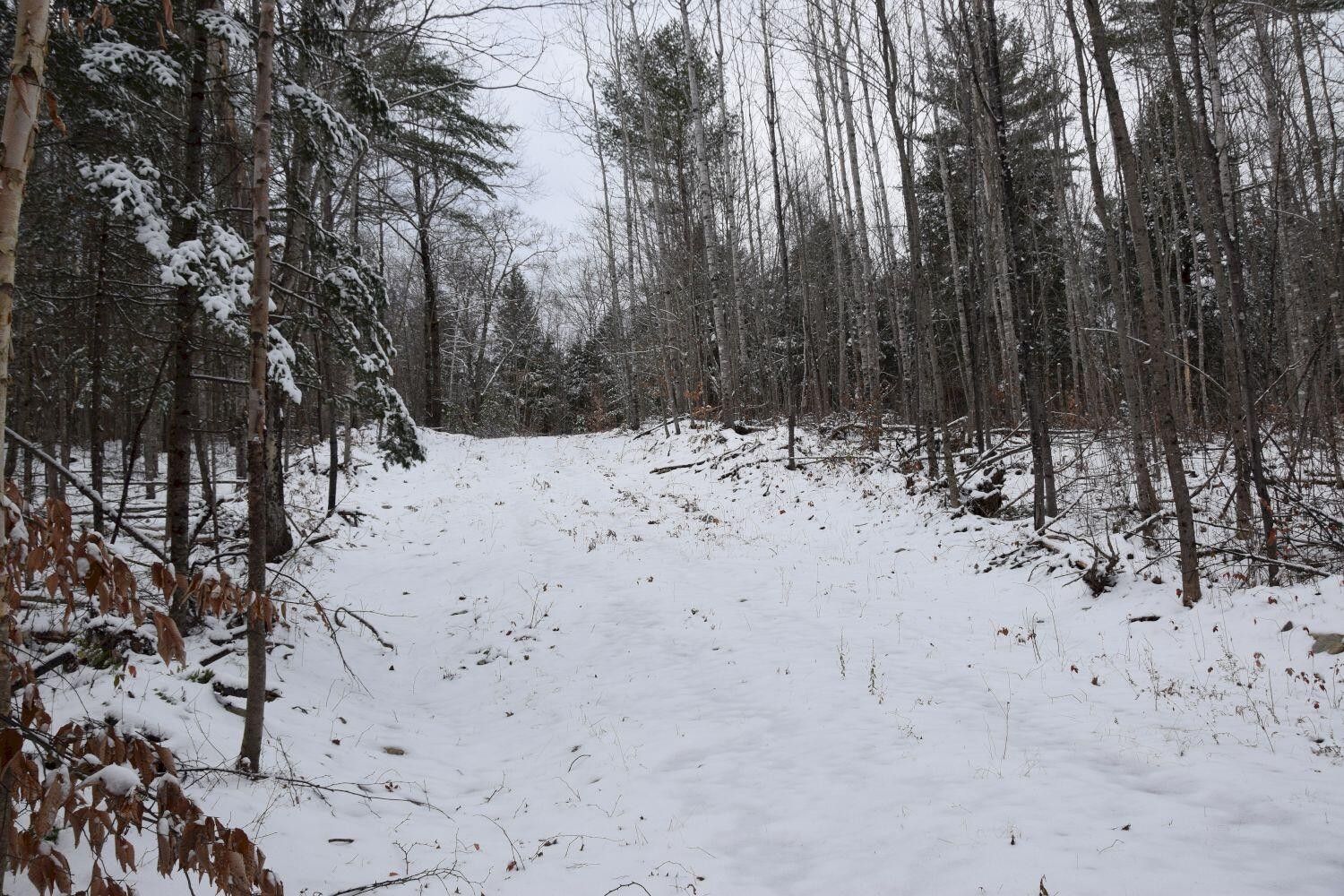 Bingham, Somerset County, ME Undeveloped Land for sale Property ID