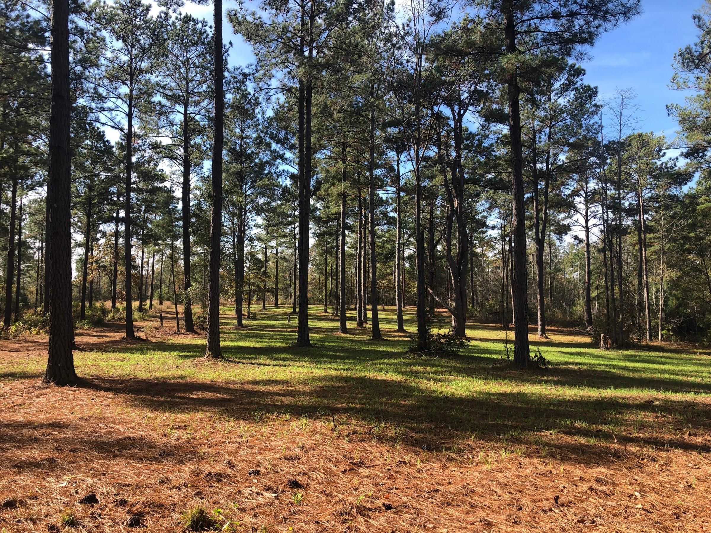Shiloh, Harris County, GA Recreational Property, Timberland Property