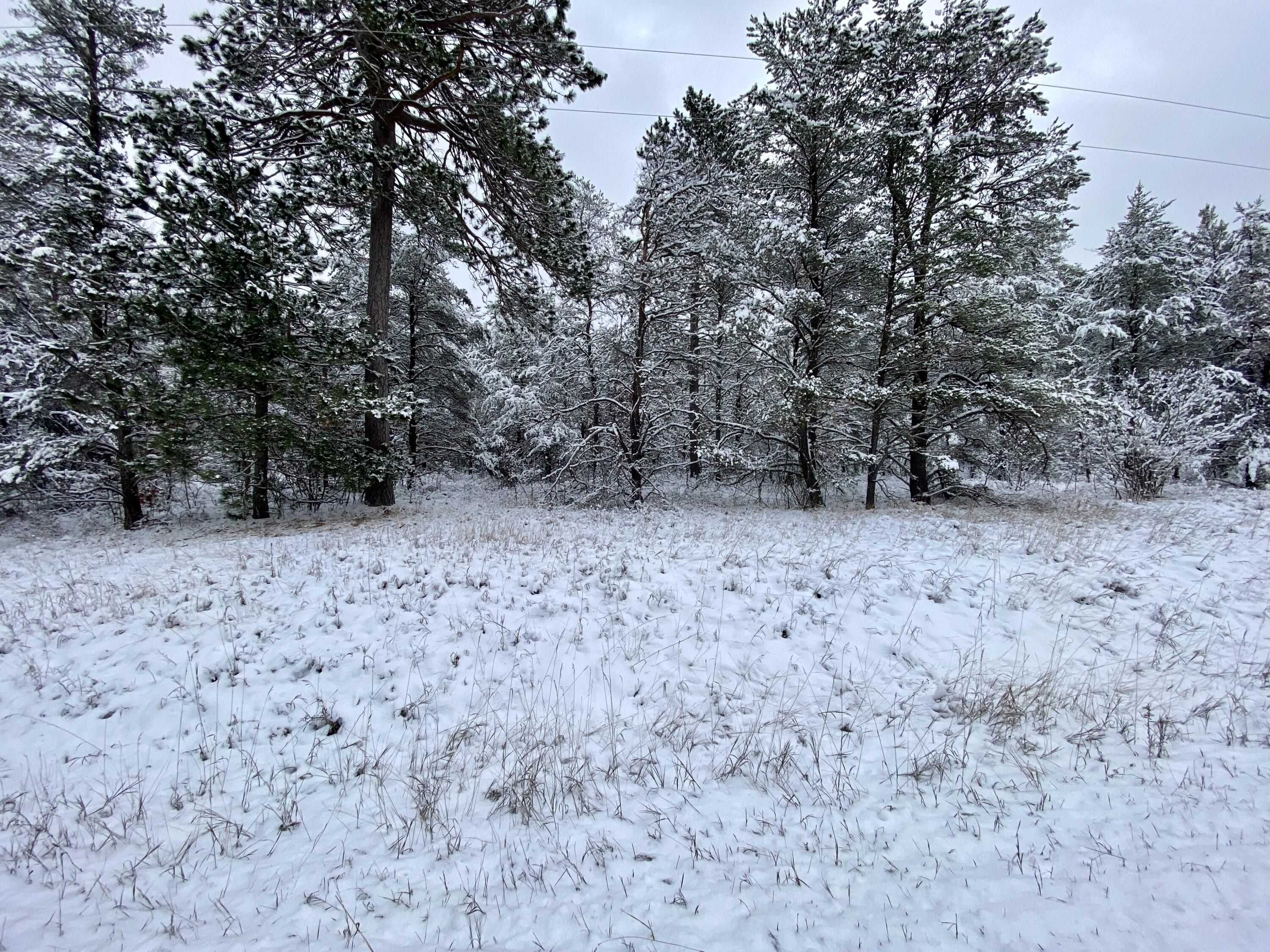 Johannesburg, Otsego County, MI Undeveloped Land, Lakefront Property, Waterfront Property for