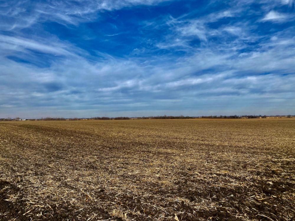 Beaver, Boone County, IA Farms and Ranches, Undeveloped Land for sale